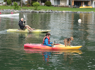 dog on kayak